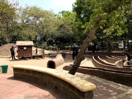 Fill Your Bags at the Law Garden